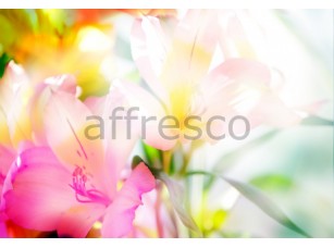 Фреска Цветы в солнечных лучах, арт. ID11617 - фото (1)