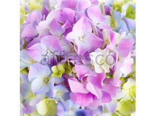 Фреска Яркие фиолетовые цветы, арт. ID11657 - фото (1)