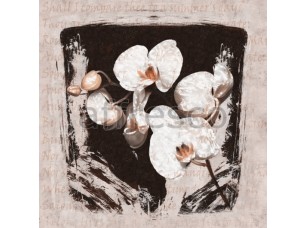 Фреска Постер белая орхидея, арт. ID135674 - фото (1)