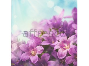 Фреска Цветы сирени, арт. 7218 - фото (1)