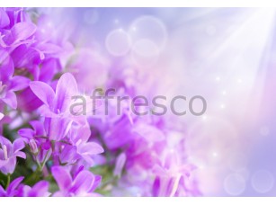 Фреска Фиолетовые цветы в лучах, арт. ID11828 - фото (1)