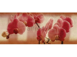 Фреска Цветы на ветке орхидеи, арт. ID135671 - фото (1)
