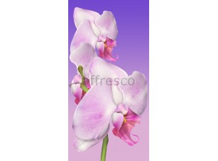 Фреска Нежный цветок орхидеи, арт. 7188 - фото (1)