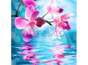 Фреска Отражение орхидеи в воде, арт. 7230 - фото (1)