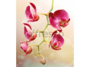 Фреска Ветка розовых цветов, арт. 7179 - фото (1)