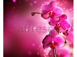 Фреска Веточка орхидеи, арт. ID12709 - фото (1)