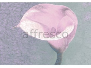 Фреска Цветок каллы, арт. ID135578 - фото (1)