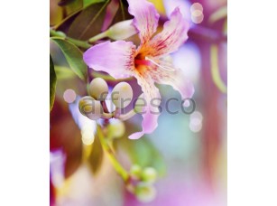 Фреска Нежный цветок лилии, арт. ID12731 - фото (1)