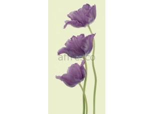 Фреска Фиолетовые тюльпаны, арт. ID12800 - фото (1)