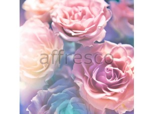 Фреска Лепестки розы, арт. 7206 - фото (1)