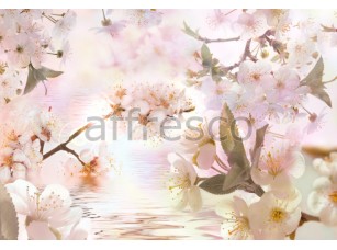Фреска Цветущие ветки сакуры у воды, арт. 7124 - фото (1)
