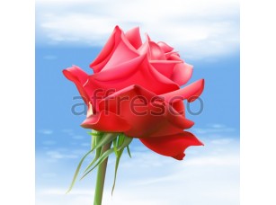 Фреска Лепестки розы, арт. ID13229 - фото (1)