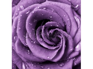 Фреска Капли на фиолетовых лепестках, арт. ID12734 - фото (1)