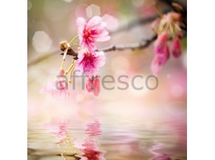 Фреска Ветка сакуры у воды, арт. ID11823 - фото (1)