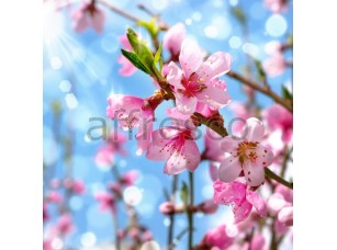 Фреска Нежные розовые цветы, арт. 7222 - фото (1)