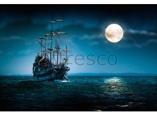 Фреска Старинный корабль в ночи, арт. ID11026 - фото (1)