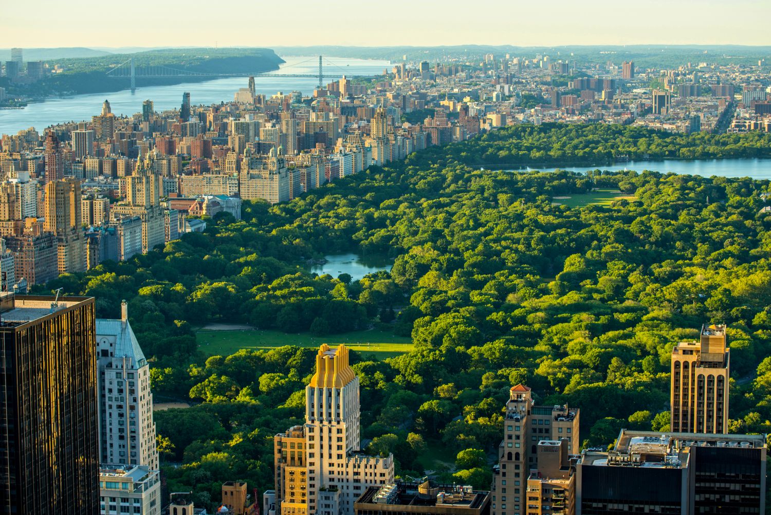 Фреска «Зелень парка на Манхэттене» - фото (1)