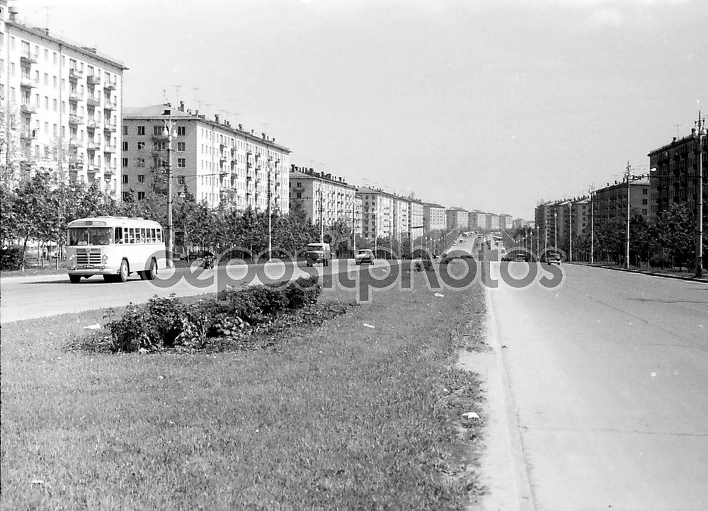 Фотообои «Москва zoe и alexander kosmodemyanskiy улица 1962» - фото (1)