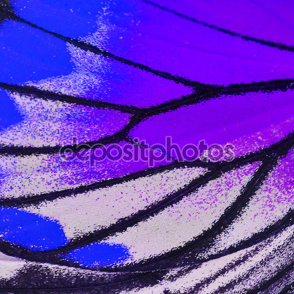 Фотообои «Крыло бабочки» - фото (1)