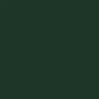 Цвет SW0016 Billiard Green chip  - фото (1)